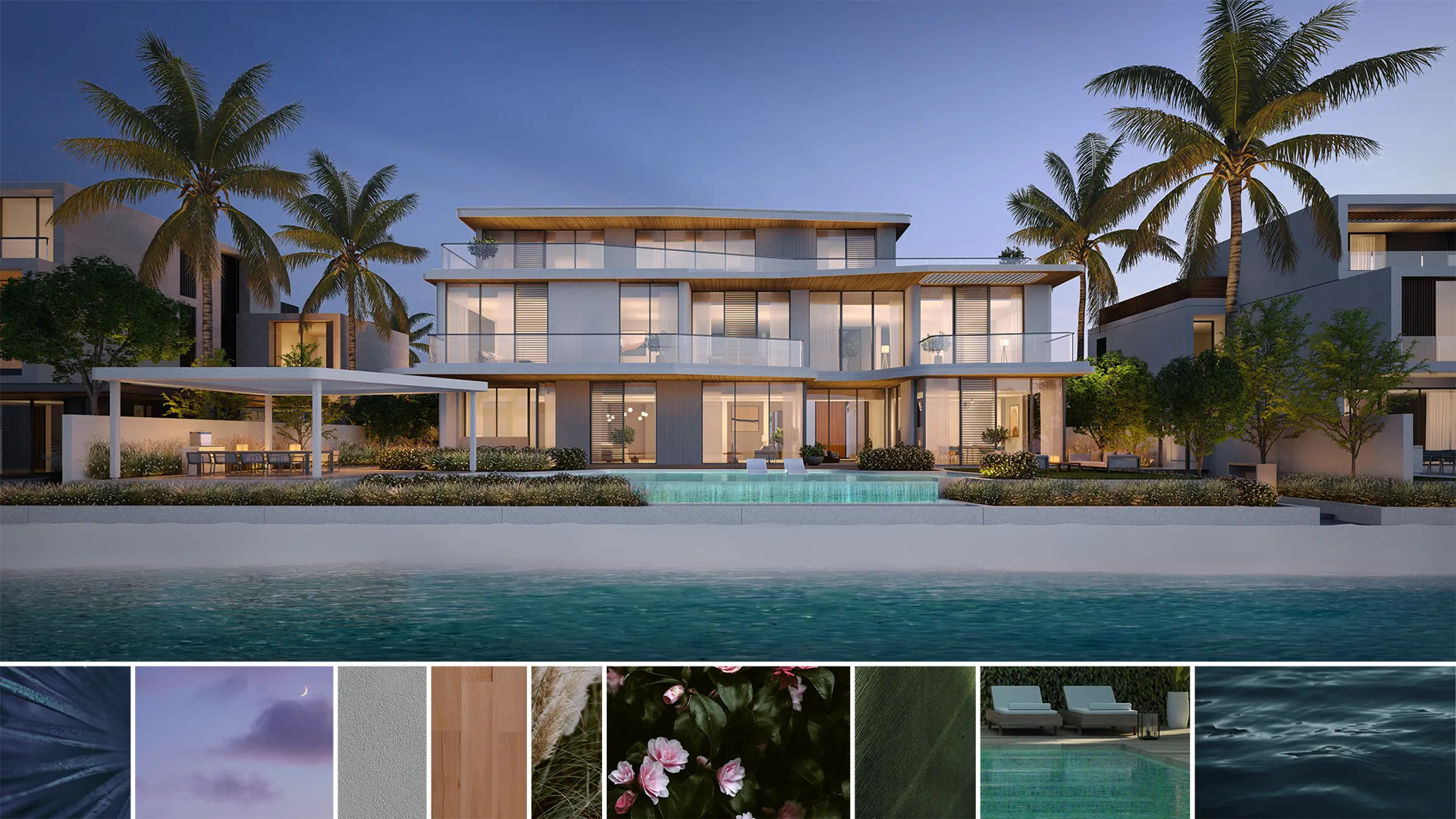 hibiscus-gallery-images (2)